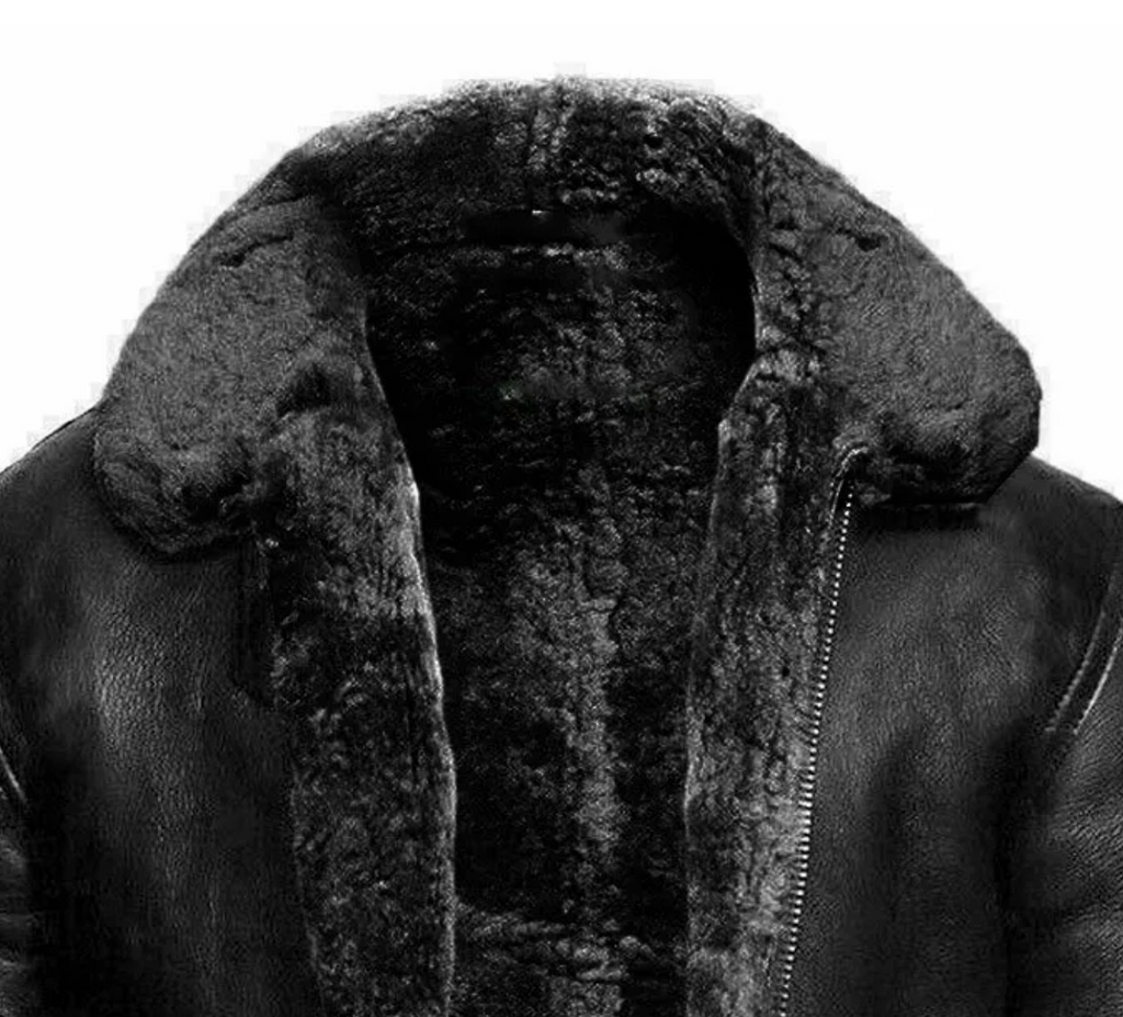 Asher Men's Zip-up Design Lining High Collar Jacket, back view